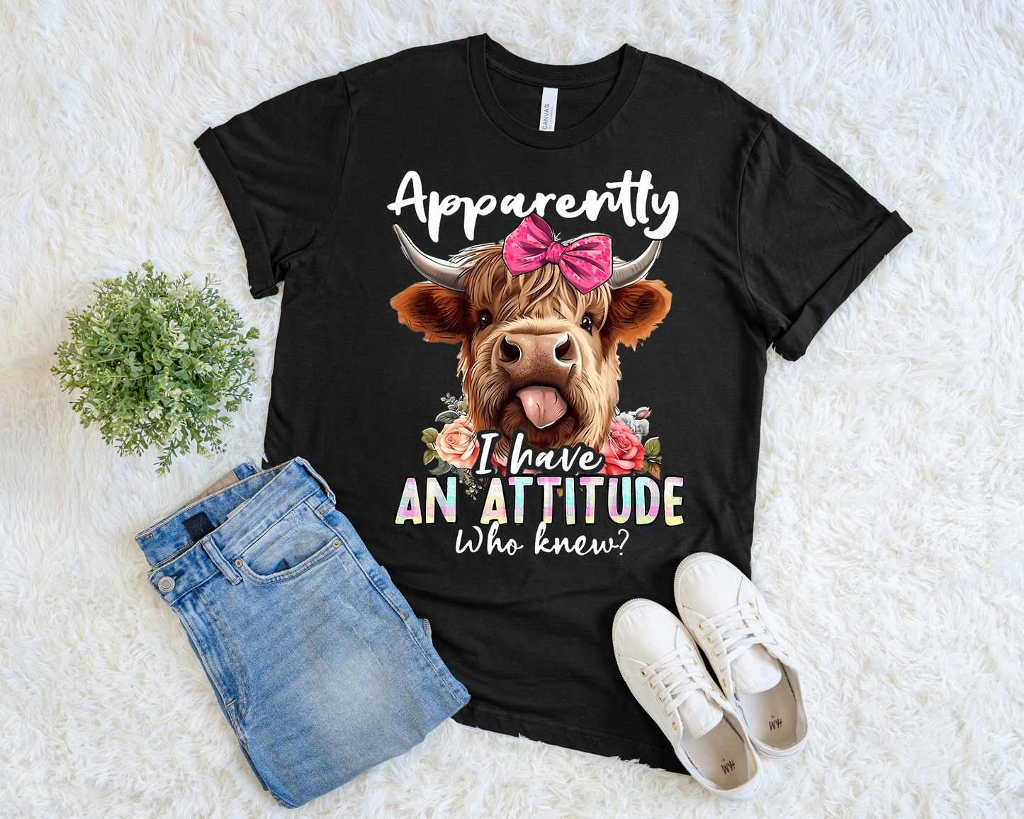 Apparently I Have an Attitude