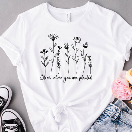 Bloom Where You Are Planted