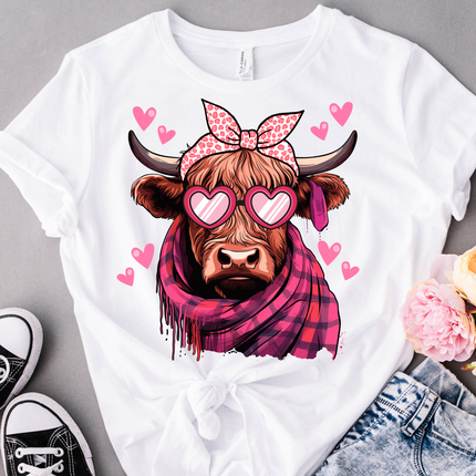 Highland Cow