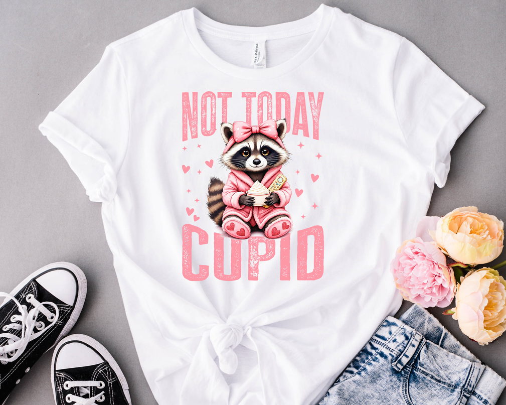 Not Today Cupid