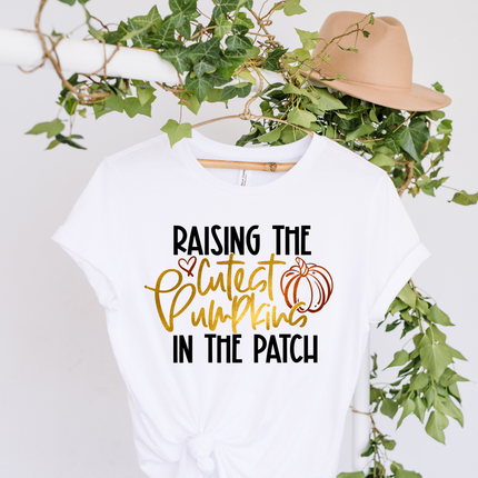 Raising the Cutest Pumpkins in the Patch
