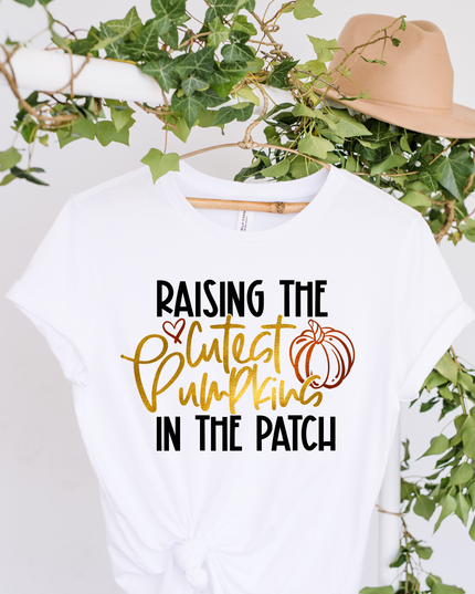 Raising the Cutest Pumpkins in the Patch