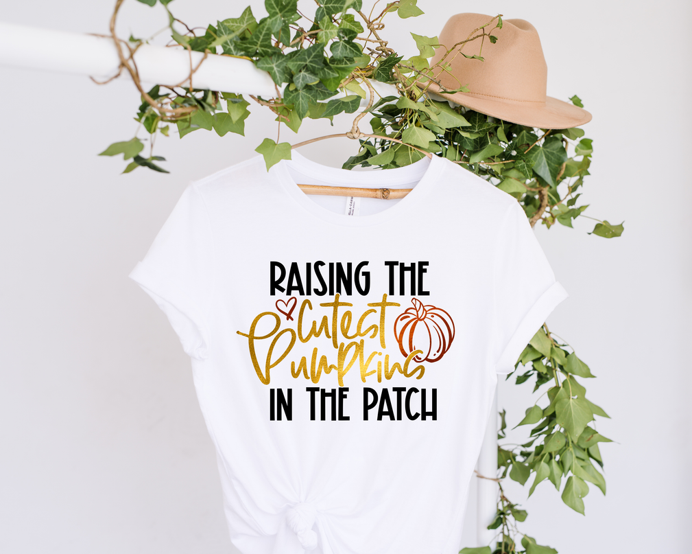 Raising the Cutest Pumpkins in the Patch
