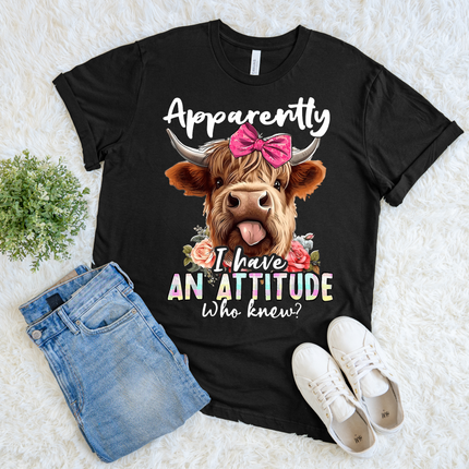 Apparently I Have an Attitude