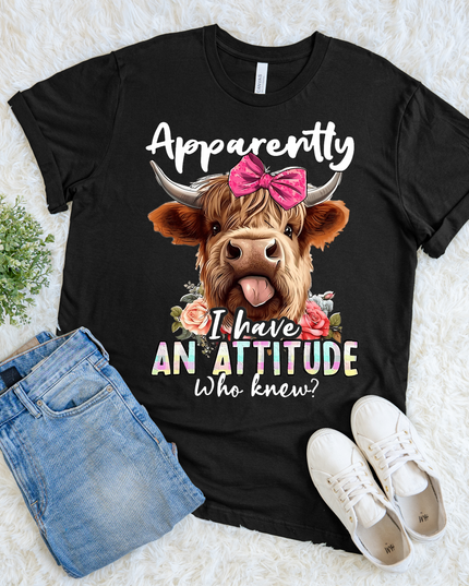 Apparently I Have an Attitude