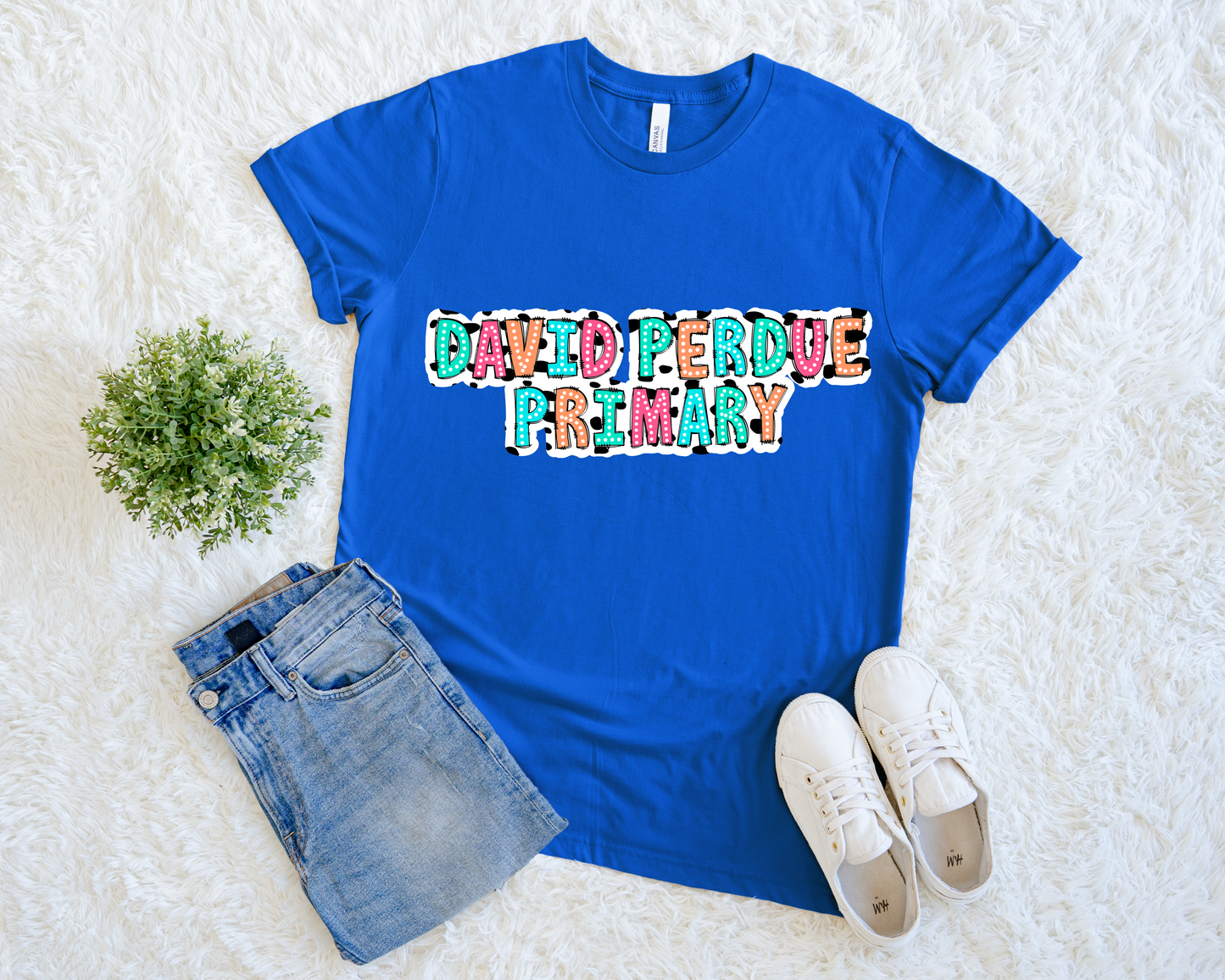 David Perdue Primary