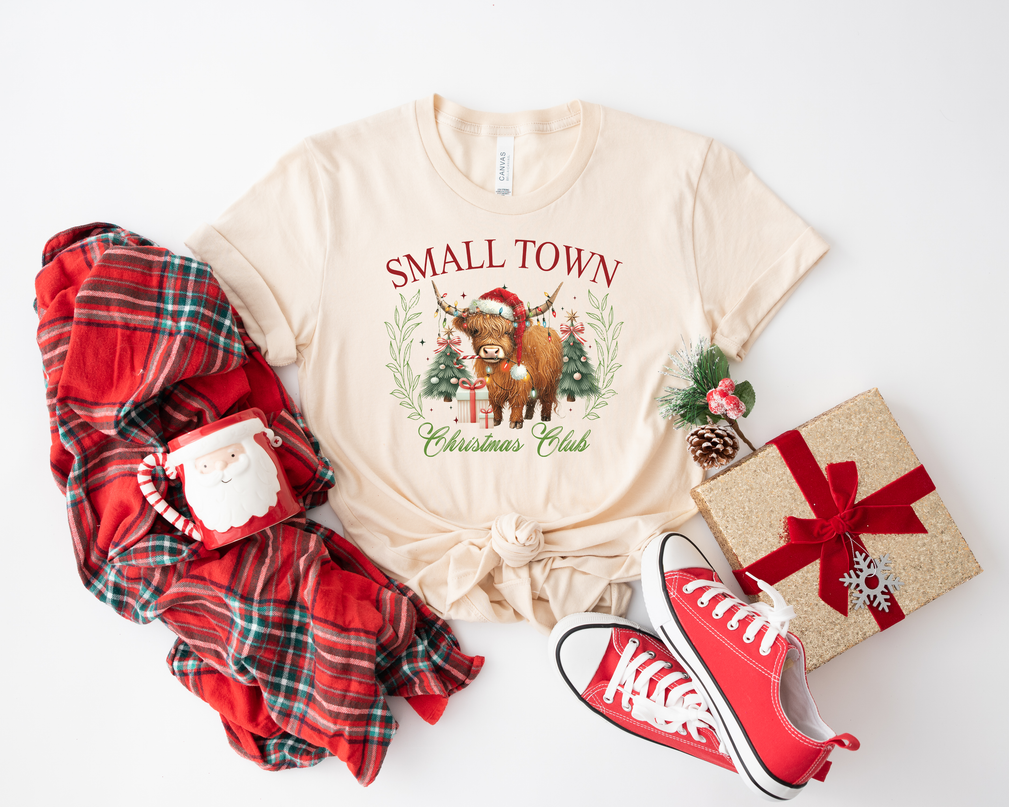 Small Town Christmas Club