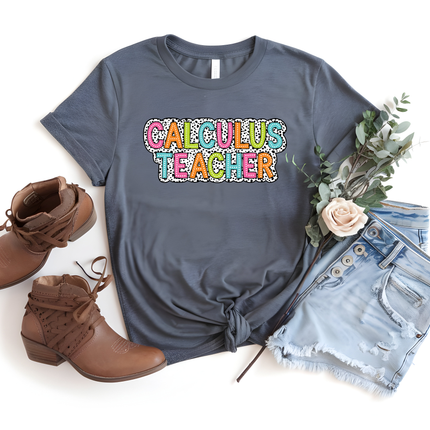 Calculus Teacher